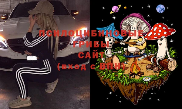 соль курить ск Алзамай