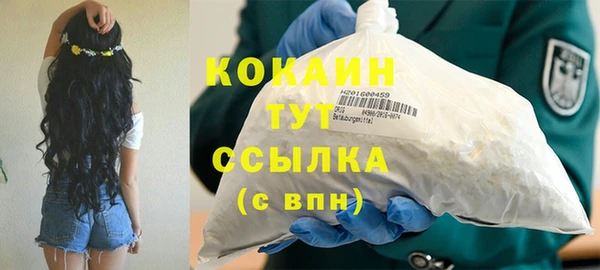 соль курить ск Алзамай
