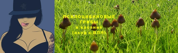 метамфетамин Алексеевка