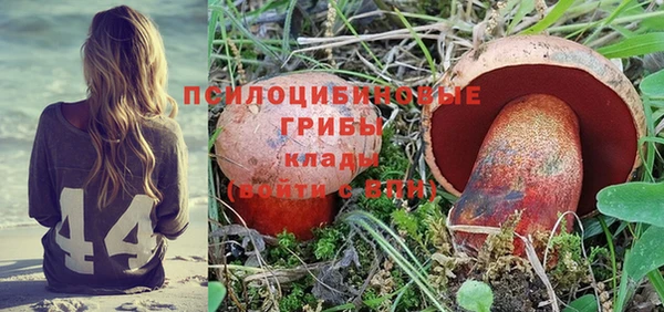метамфетамин Алексеевка