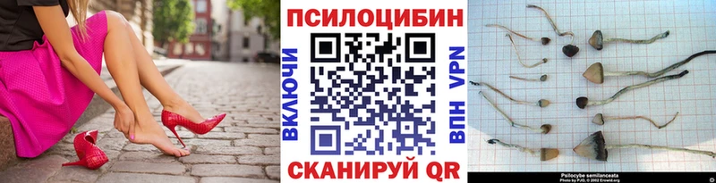 это как зайти  OMG вход  Макушино  Псилоцибиновые грибы MAGIC MUSHROOMS 